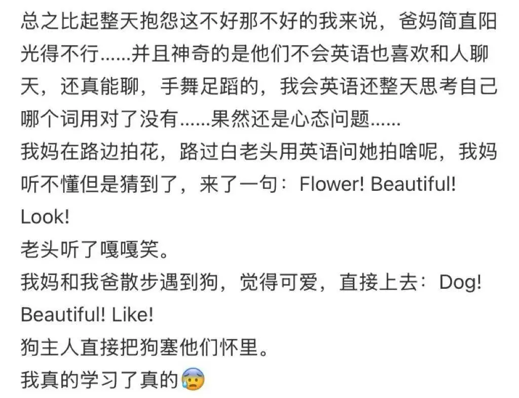 老年人出國旅遊到底有多real？