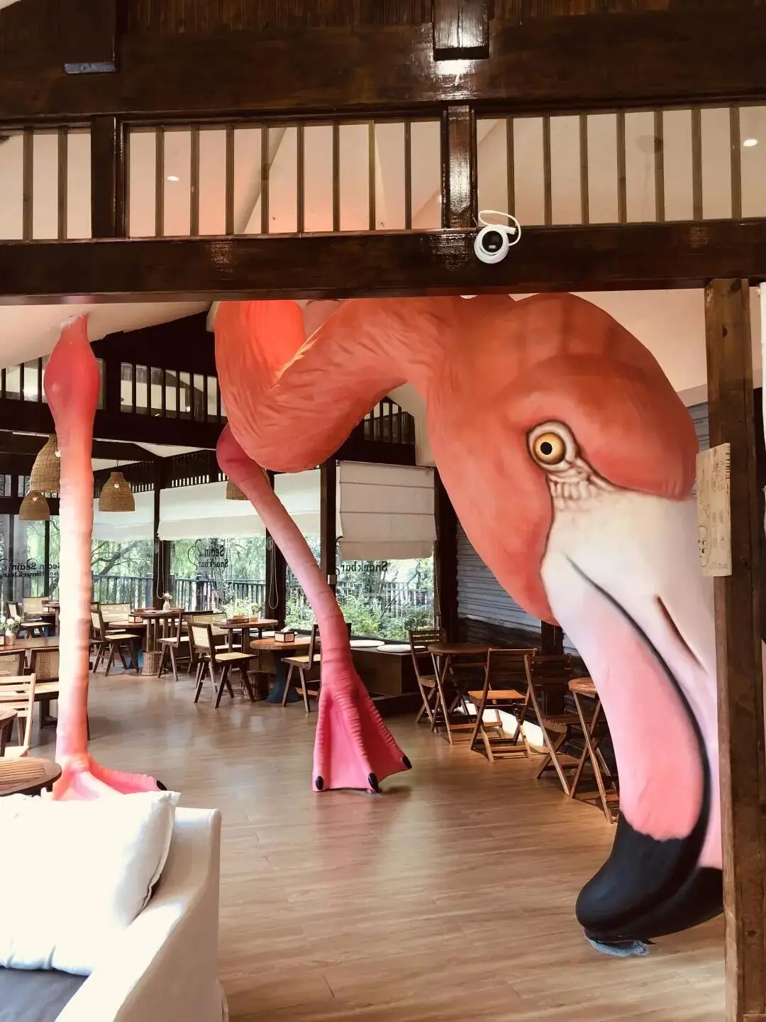 寒假湄旅遊：奔赴一場21℃的自然文化深度邂逅