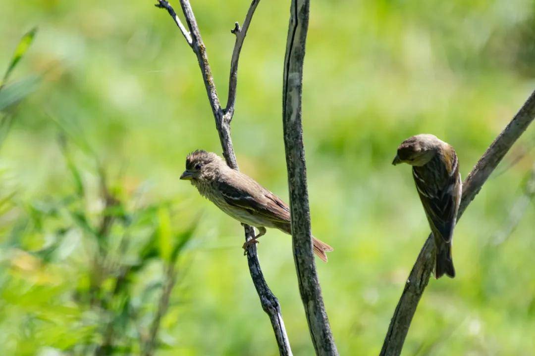 國際旅遊攝影網2026年國內外攝影路線全景指南