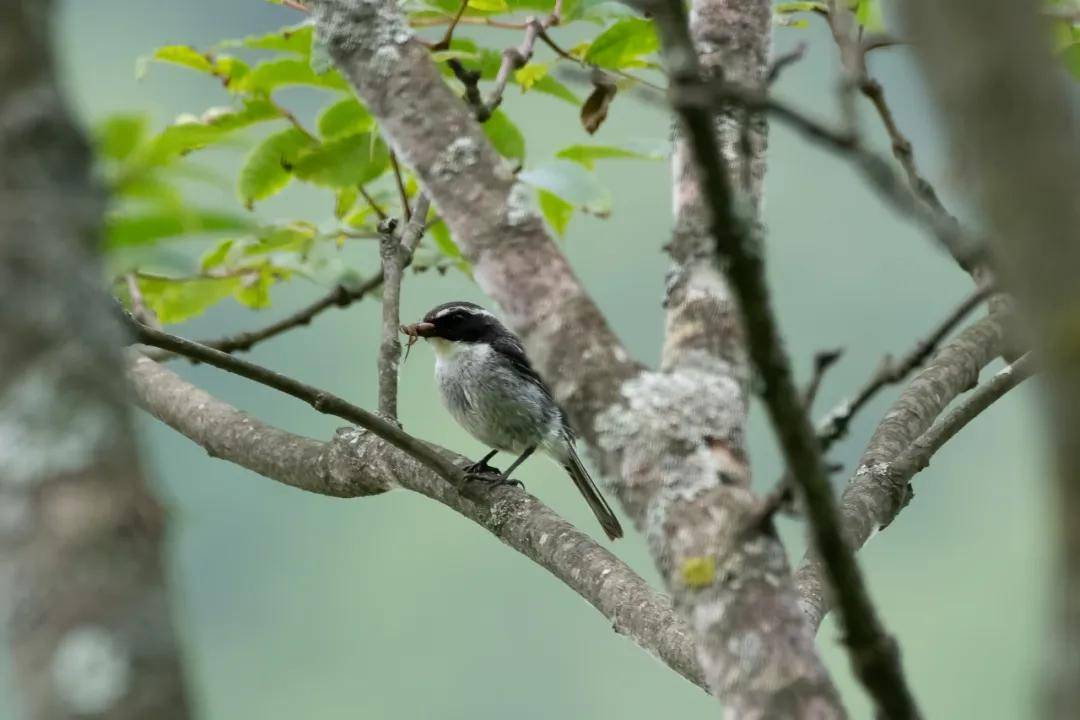 國際旅遊攝影網2026年國內外攝影路線全景指南