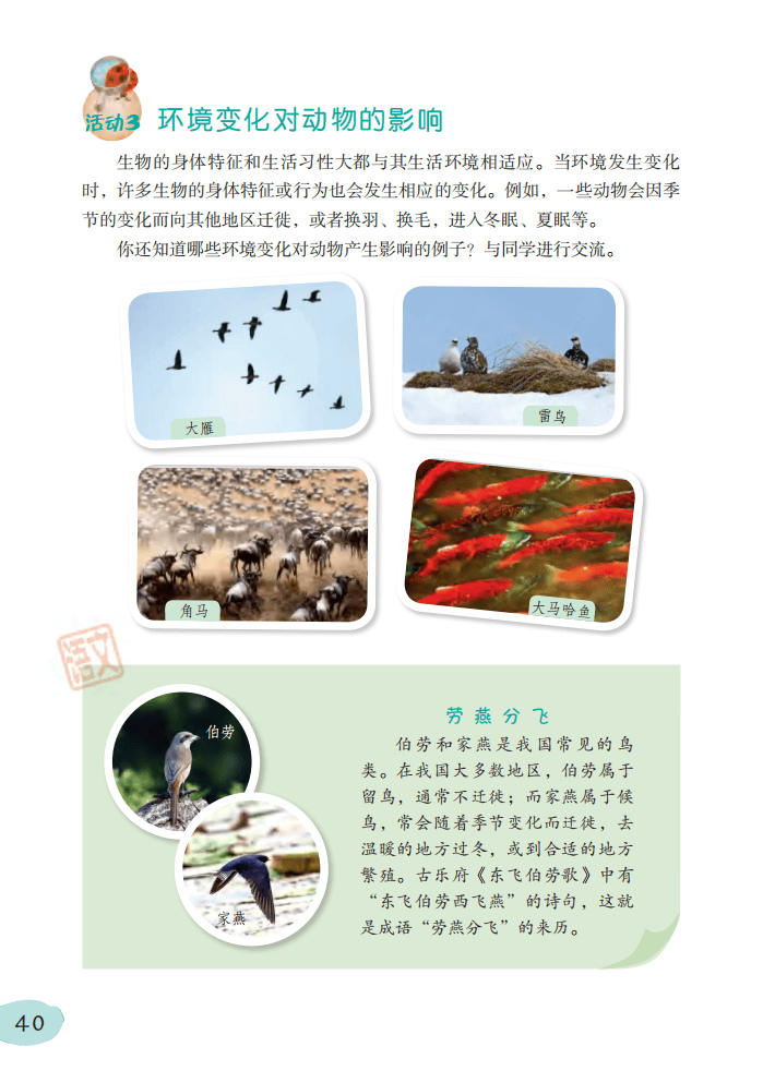 2026粵教版六年級科學下冊電子課本(PDF高畫質版新教材)