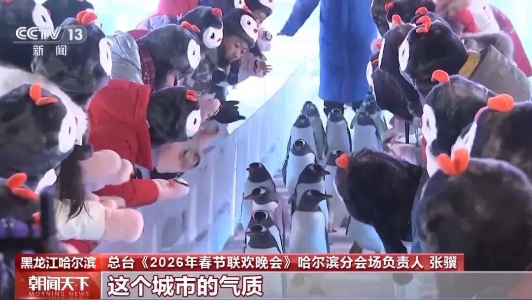 “科技+浪漫” 揭秘春晚哈爾濱夢幻“冰舞臺”