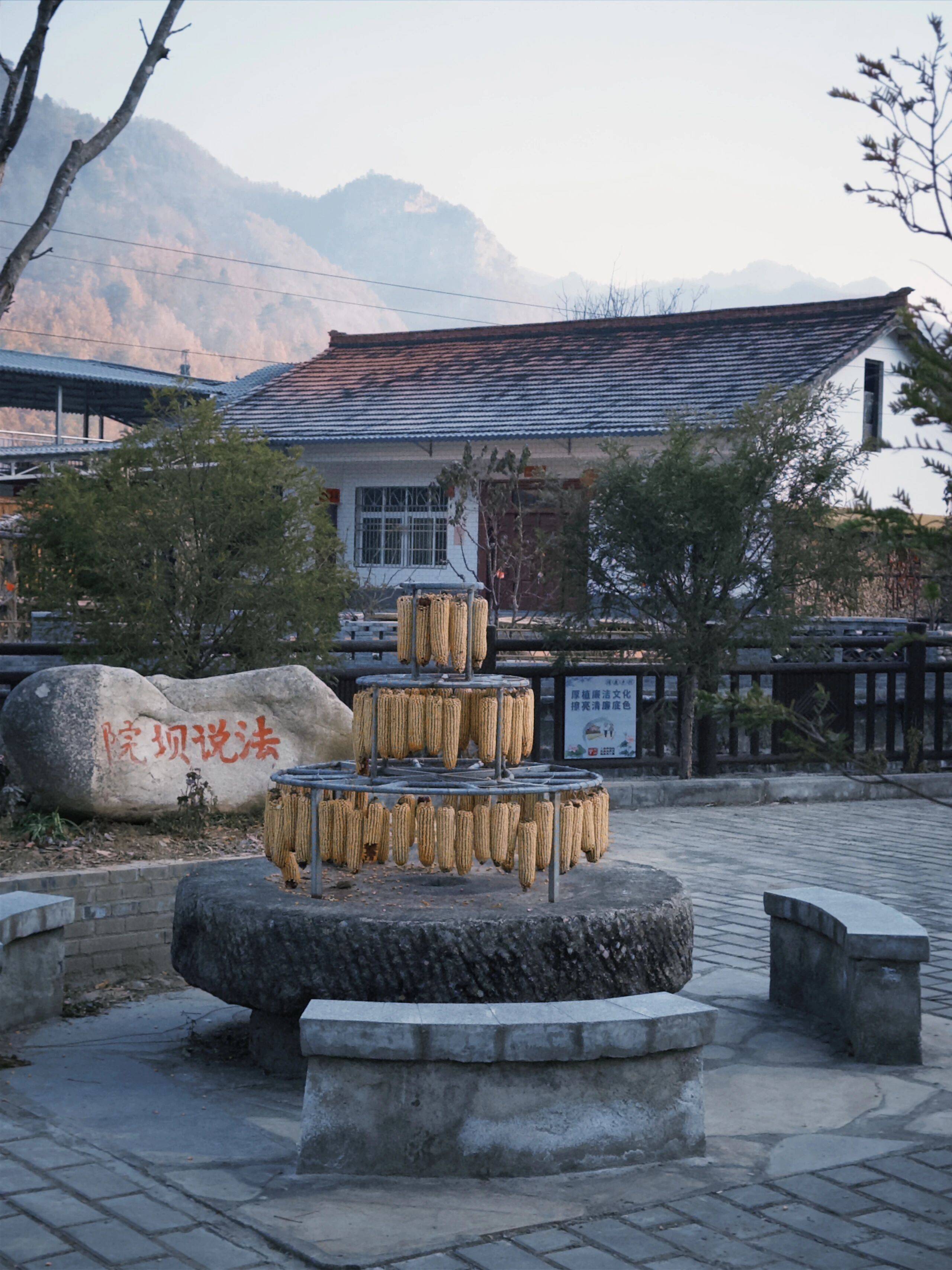 留壩新年美食大賞，哪一道最夯？