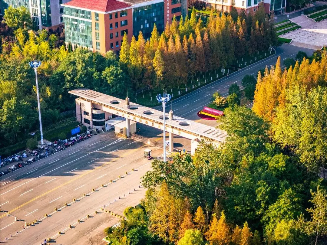 山東外國語職業技術大學招聘33名教師！