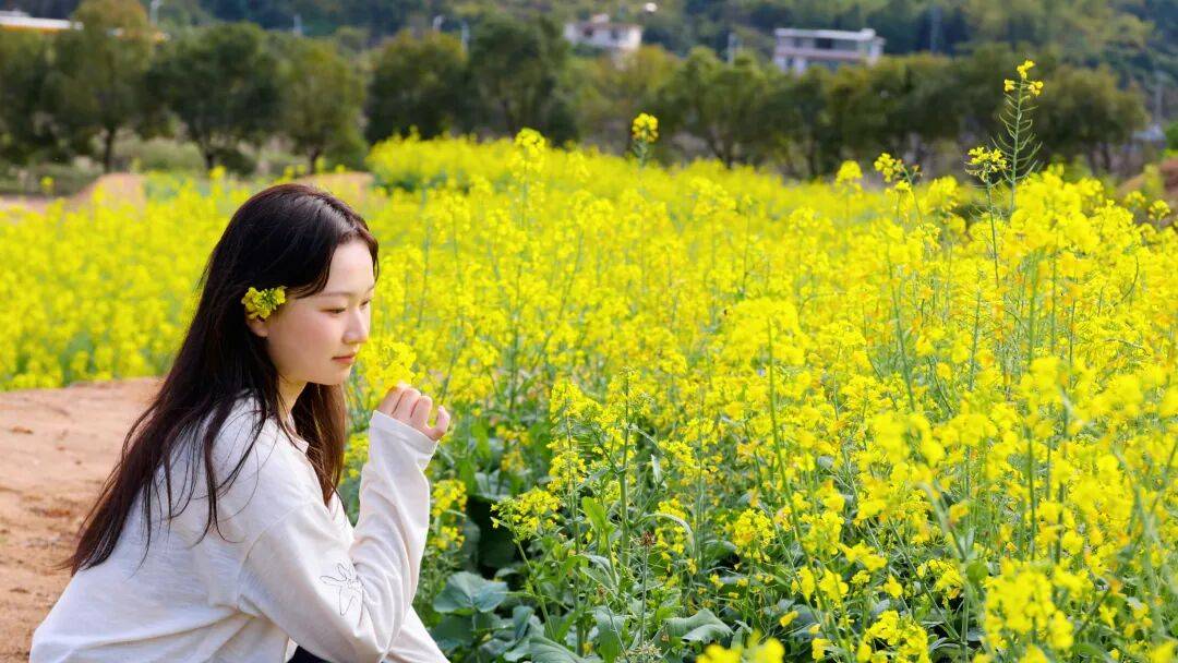 收藏！泉州春日賞花去哪裡？花期+地址全攻略