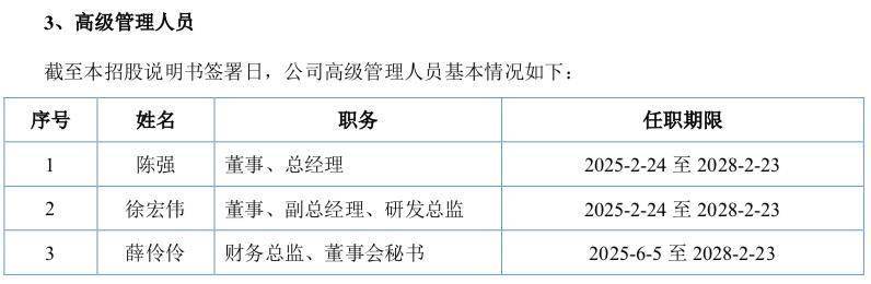 賽英電子聘任85後財務總監薛伶伶，券商、銀行、會計所履歷全都有