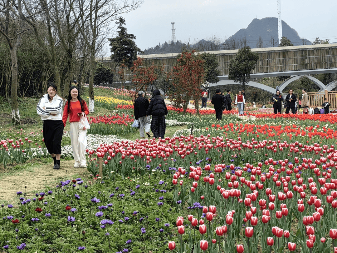 春假來烏當：在詩意棲息地看花賞景品美食……