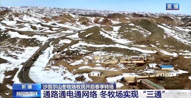 20萬餘頭牛羊“搬家”進行中 阿勒泰春季轉場有多壯觀