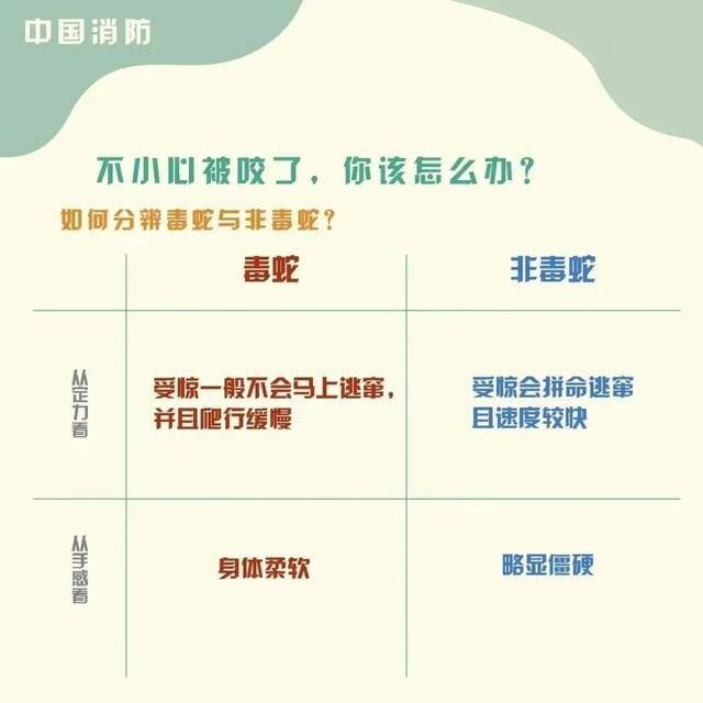女童被眼鏡王蛇咬傷，“假死”3天后奇蹟生還！