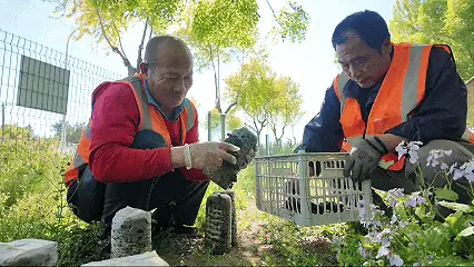 “五一”來順義｜避開人海的順義採摘攻略，收藏這一篇就夠了！