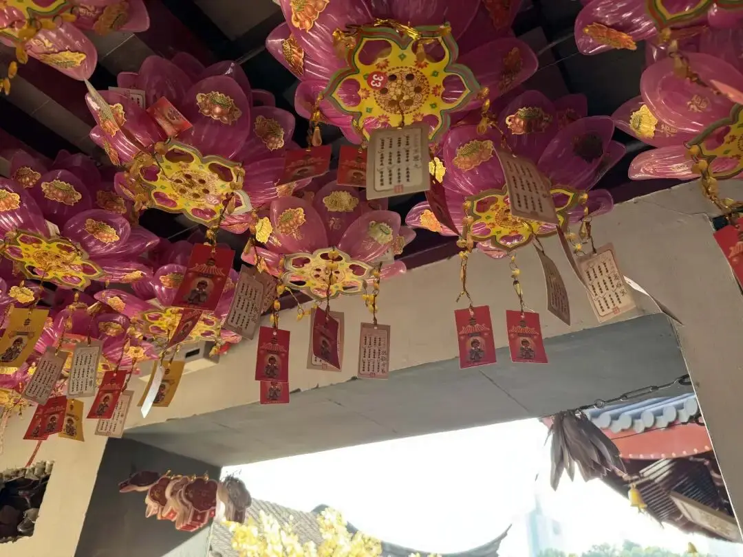 被坑慘了的年輕人，已經放棄找旅遊搭子了