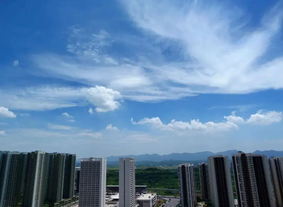 沙坪壩有兩個小區！畢業生申請公租房看這裡！