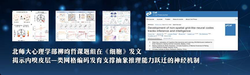 發揮高水平研究型大學主力軍作用！北京高校持續加強基礎研究