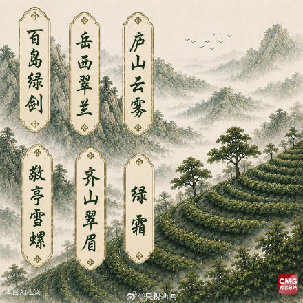 中國人有多會起名這些茶葉告訴你！