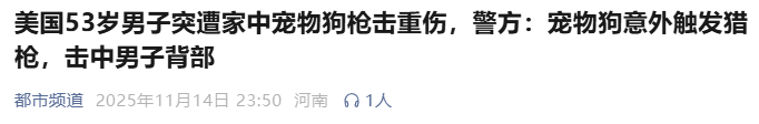 原創近日一條狗開槍打中無辜女性！在美國，狗用槍殺人事件頻發有多離譜？