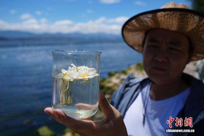 大理大學“保衛”洱海
