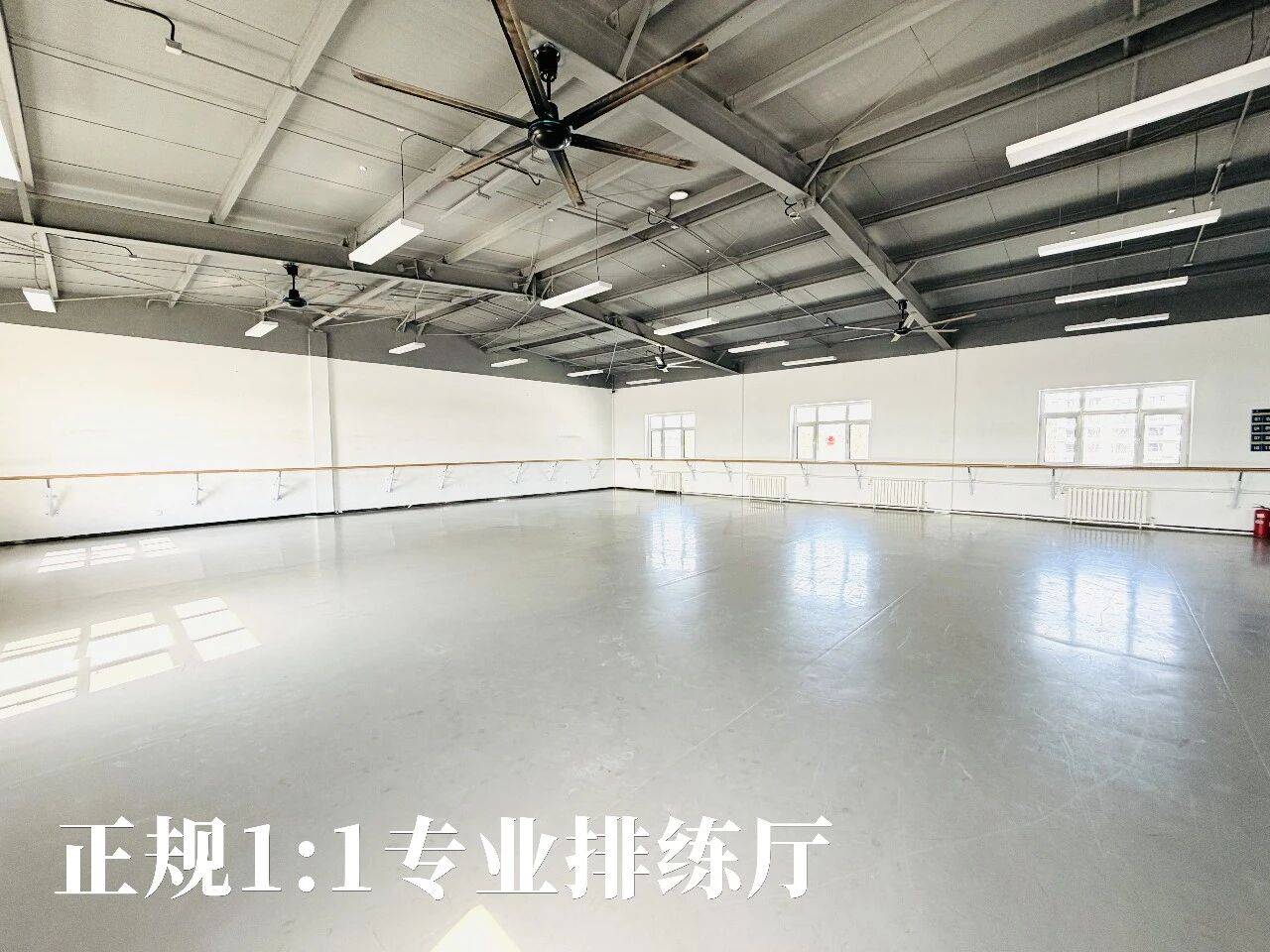 漉源舞蹈藝考：北京燕郊周邊靠譜的舞蹈藝考培訓學校