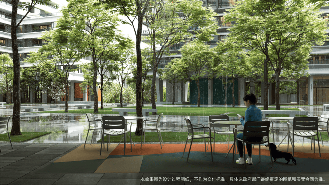 在快速向前奔跑的深圳 這裡留了一處精神棲息地