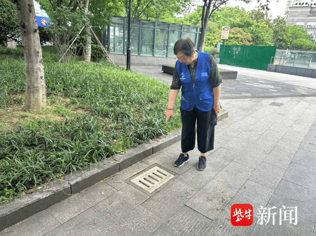 井蓋塌陷存隱患，快速處置解民憂