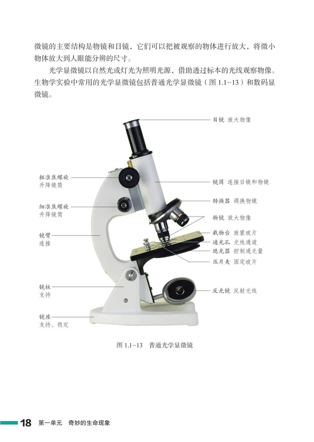 濟南版七年級生物上冊電子課本(2026新教材)