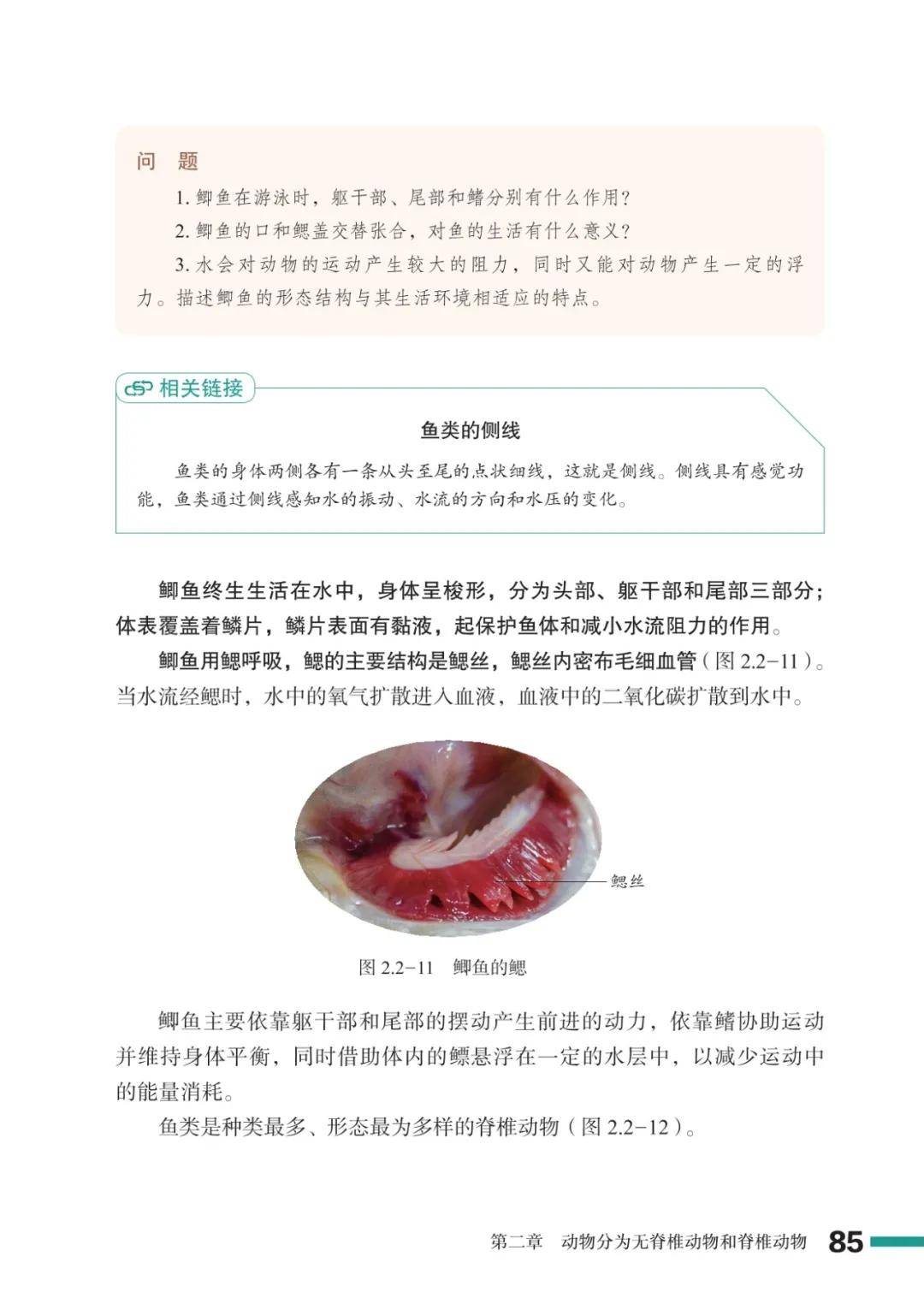 濟南版七年級生物上冊電子課本(2026新教材)