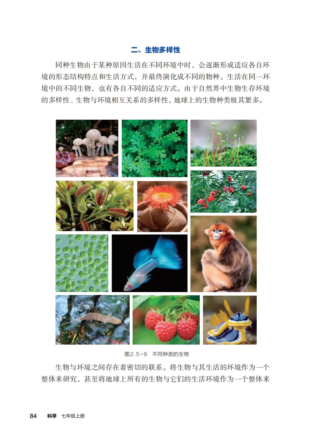 浙教版七年級科學上冊電子課本(2026年新教材)