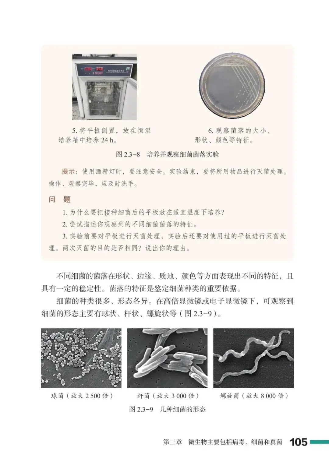 濟南版七年級生物上冊電子課本(2026新教材)