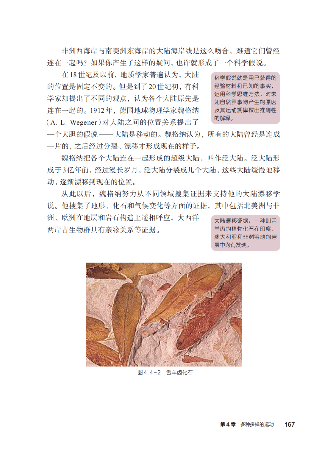 浙教版七年級科學上冊電子課本(2026年新教材)