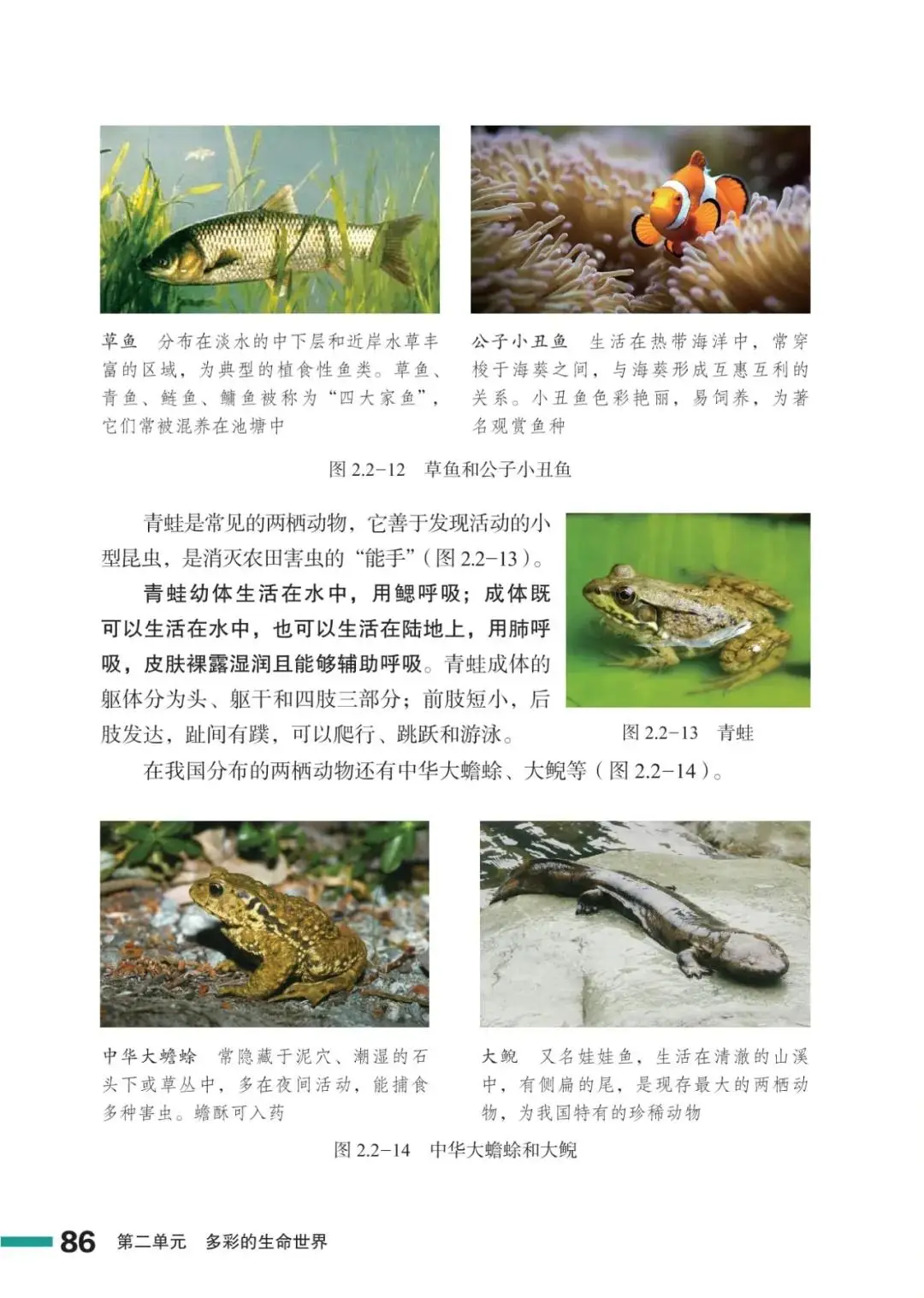 濟南版七年級生物上冊電子課本(2026新教材)