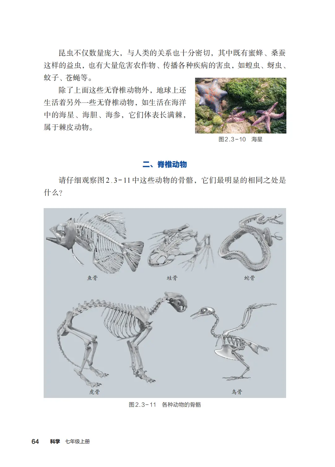 浙教版七年級科學上冊電子課本(2026年新教材)