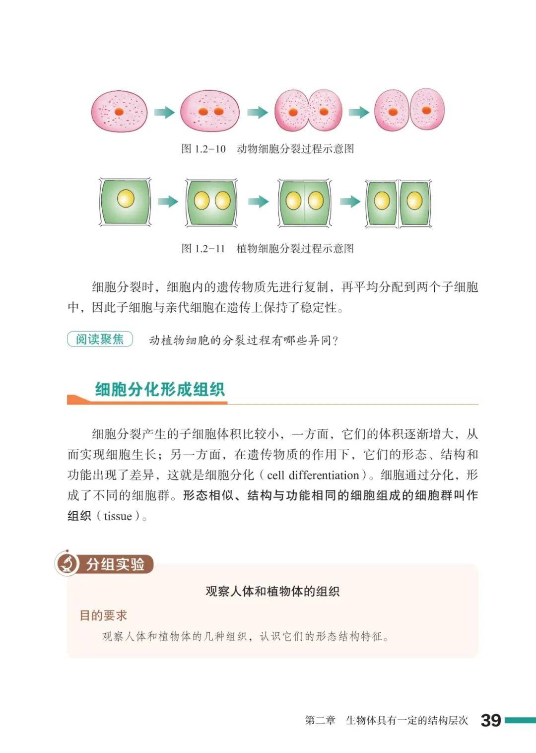 濟南版七年級生物上冊電子課本(2026新教材)