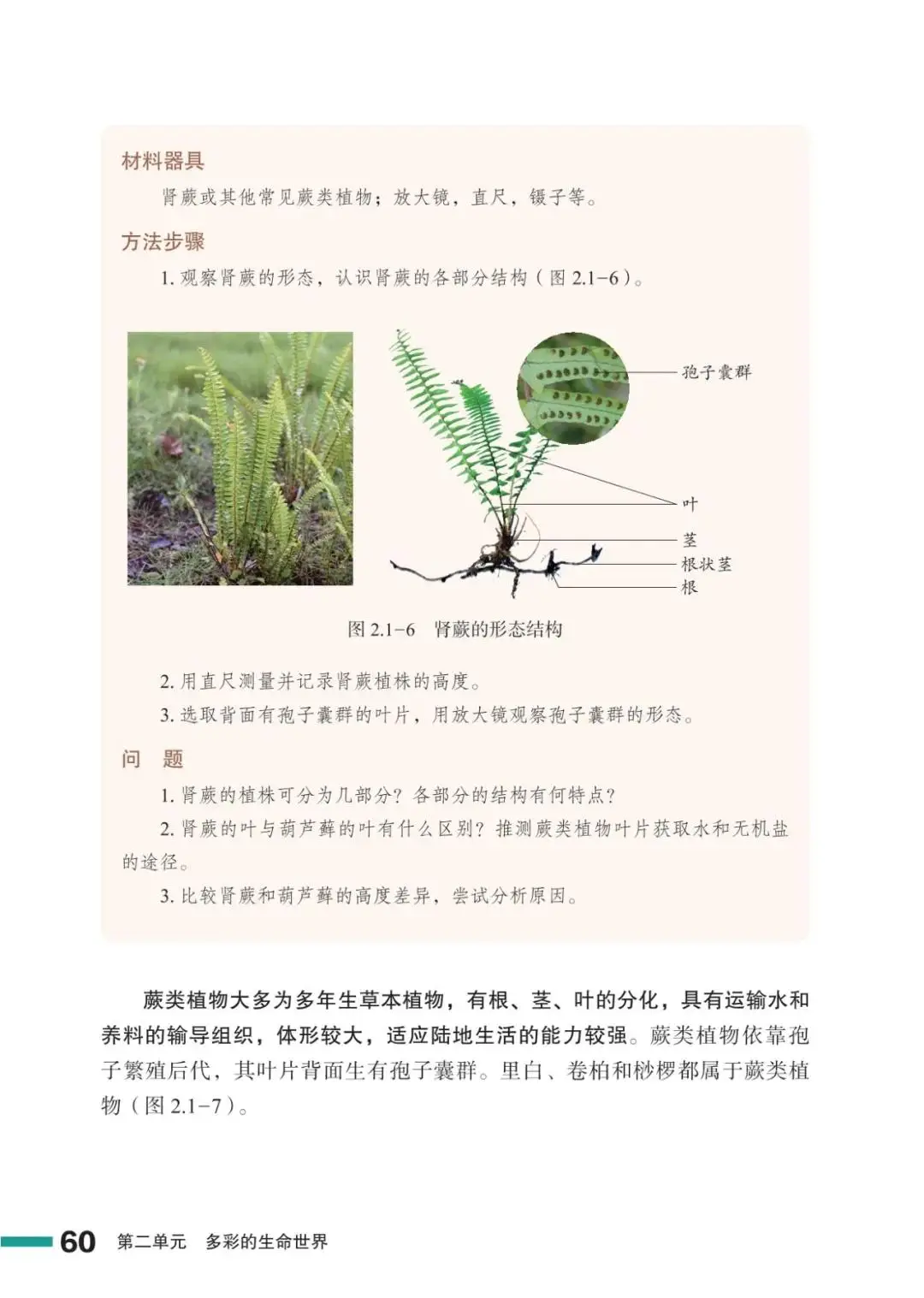 濟南版七年級生物上冊電子課本(2026新教材)