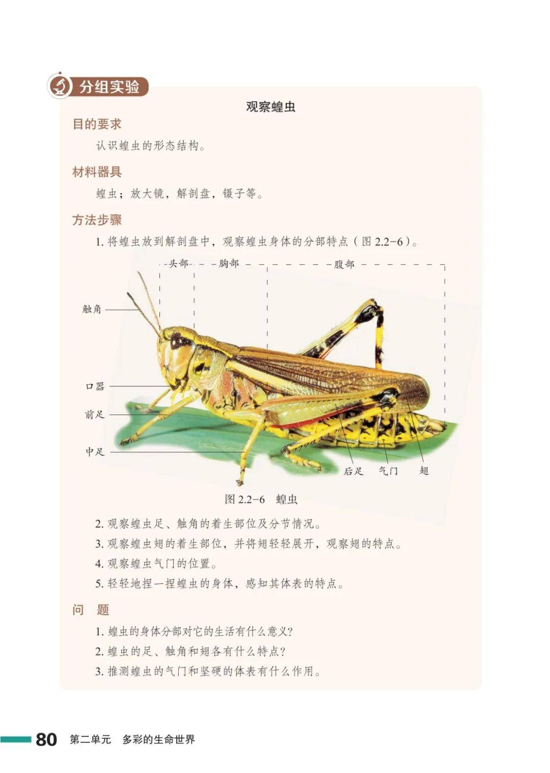濟南版七年級生物上冊電子課本(2026新教材)