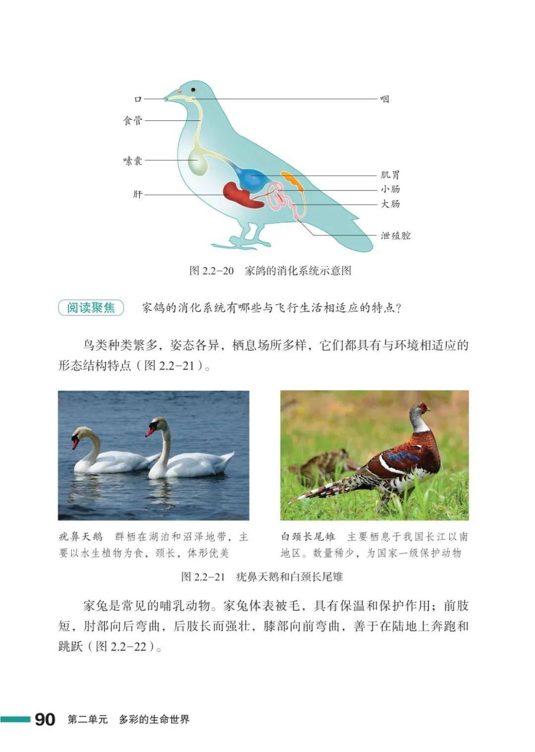 濟南版七年級生物上冊電子課本(2026新教材)