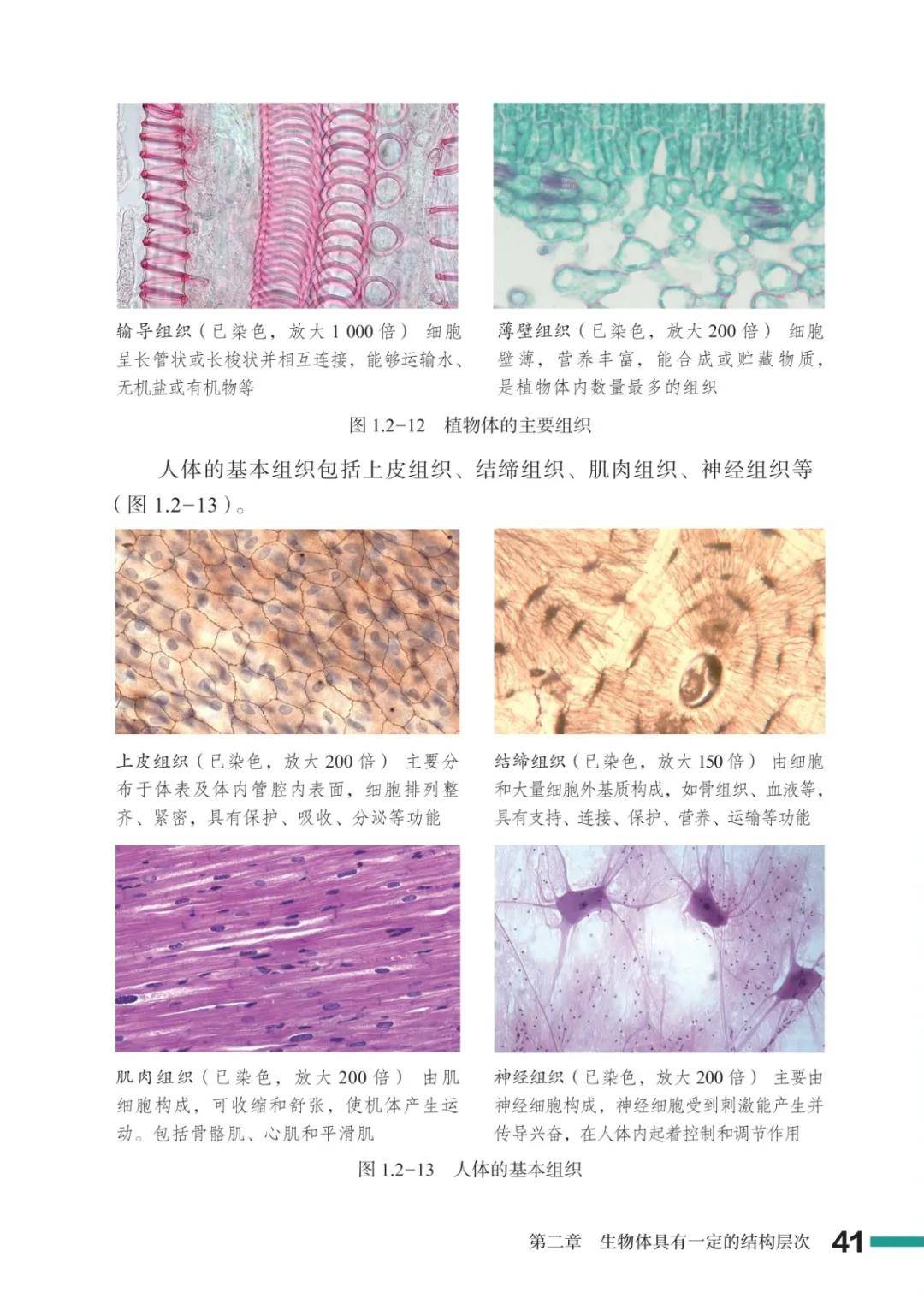 濟南版七年級生物上冊電子課本(2026新教材)