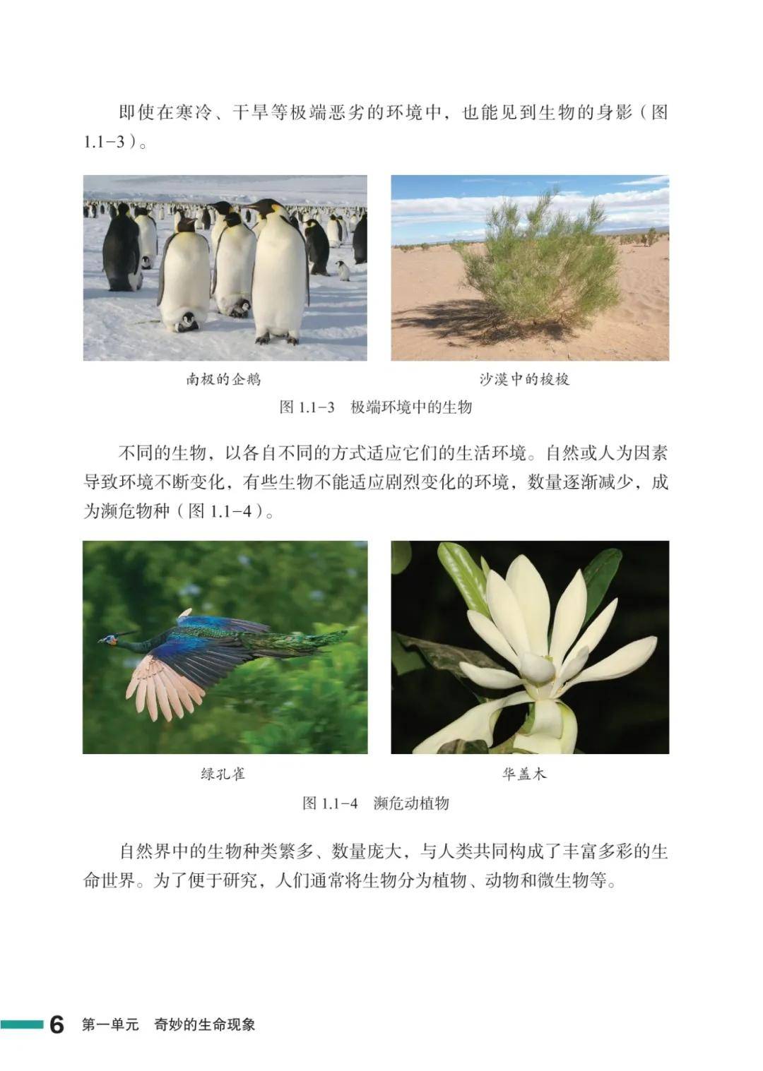 濟南版七年級生物上冊電子課本(2026新教材)