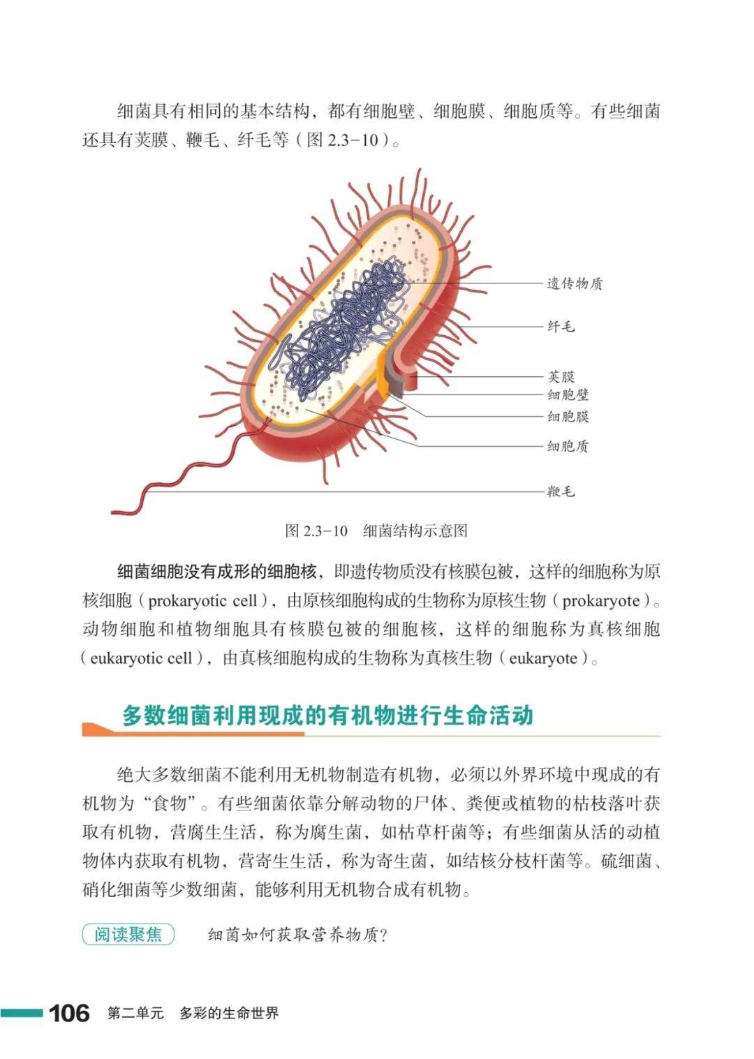 濟南版七年級生物上冊電子課本(2026新教材)