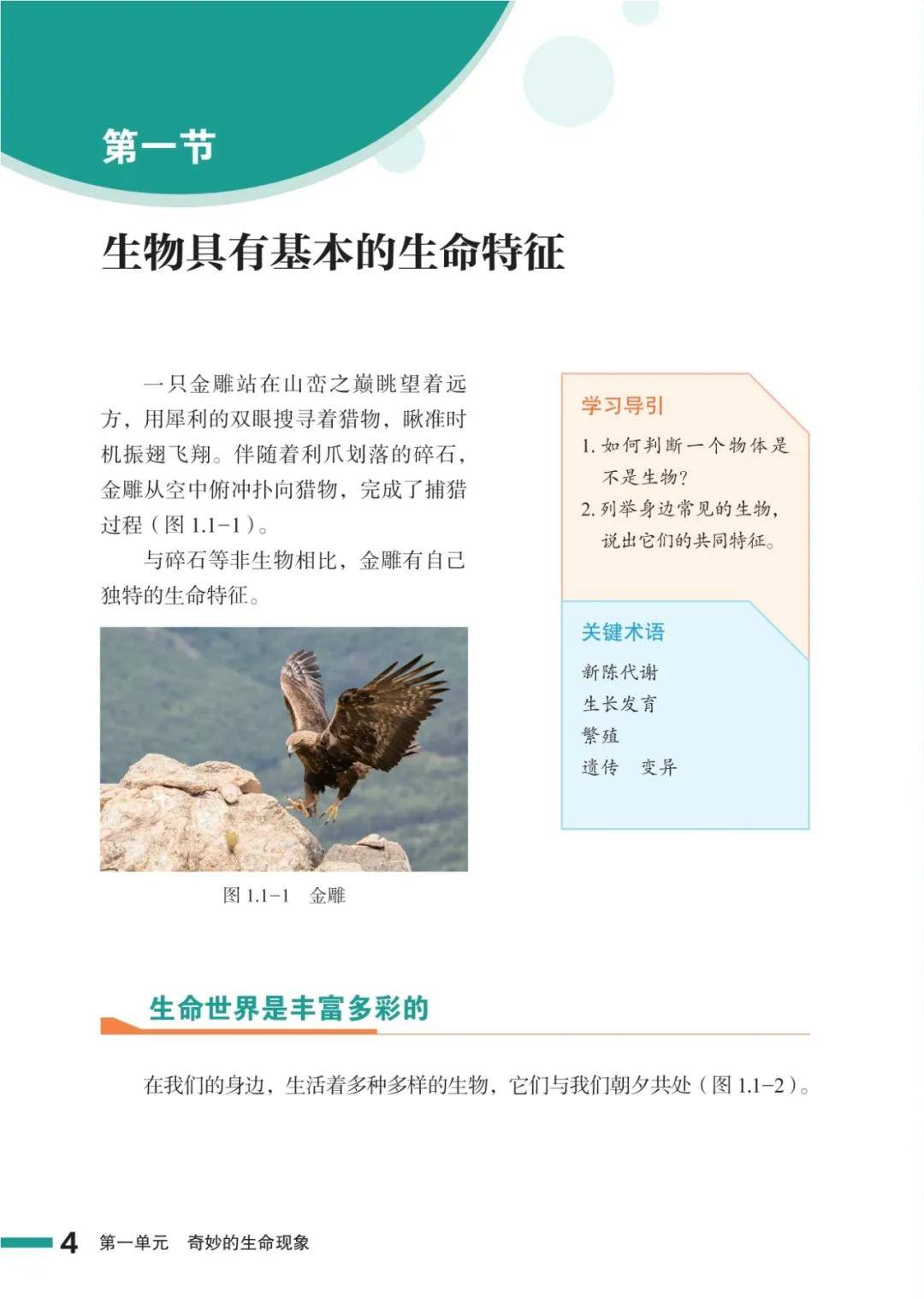 濟南版七年級生物上冊電子課本(2026新教材)