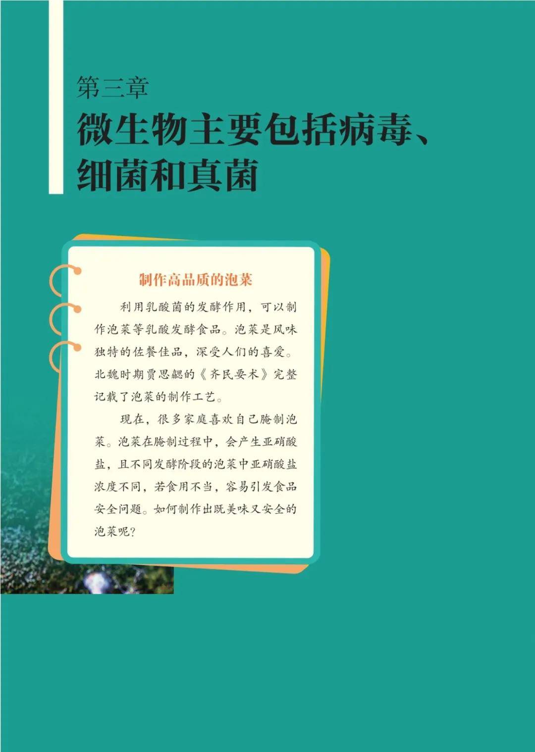 濟南版七年級生物上冊電子課本(2026新教材)
