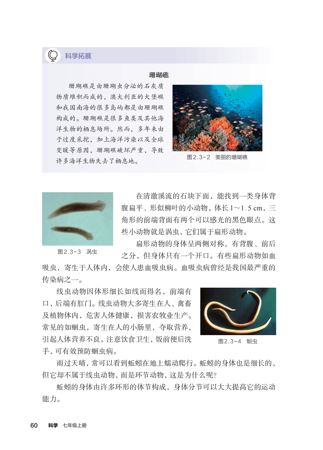 浙教版七年級科學上冊電子課本(2026年新教材)
