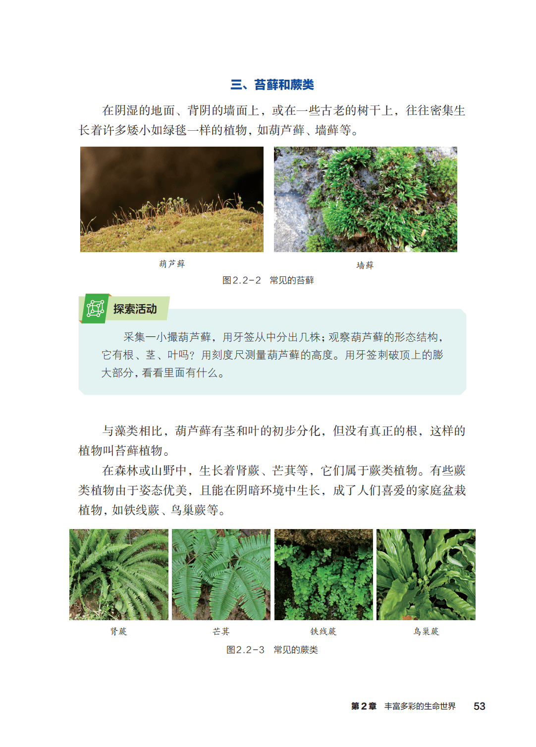 浙教版七年級科學上冊電子課本(2026年新教材)