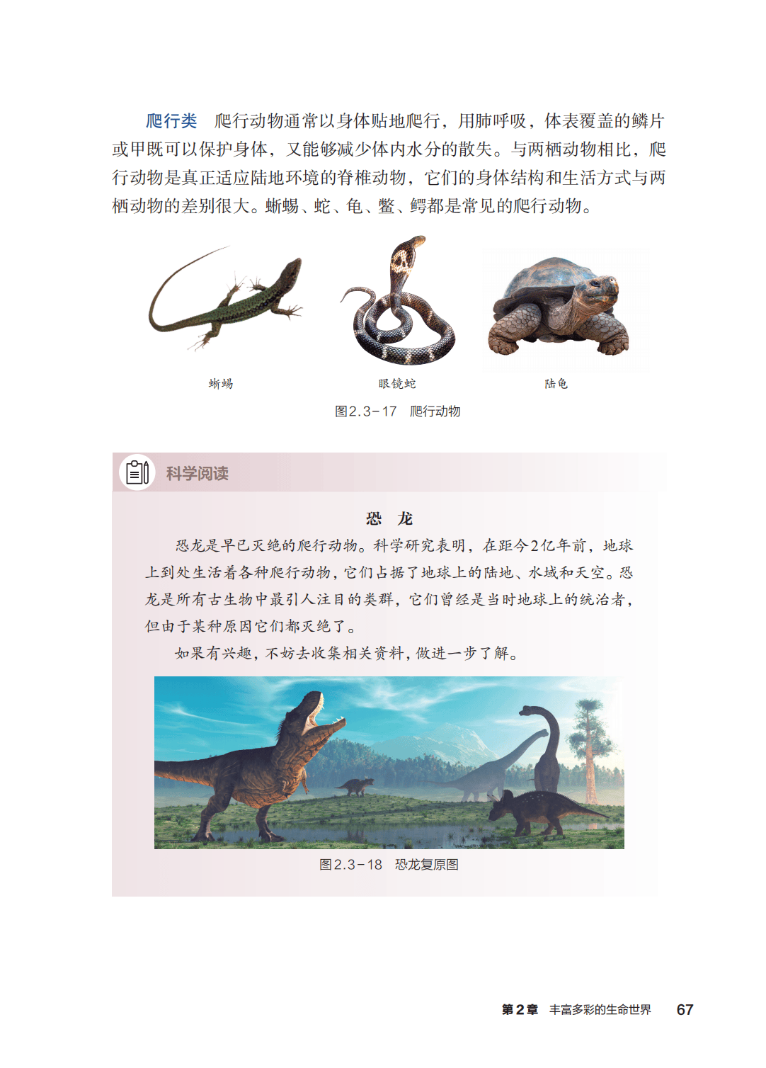 浙教版七年級科學上冊電子課本(2026年新教材)