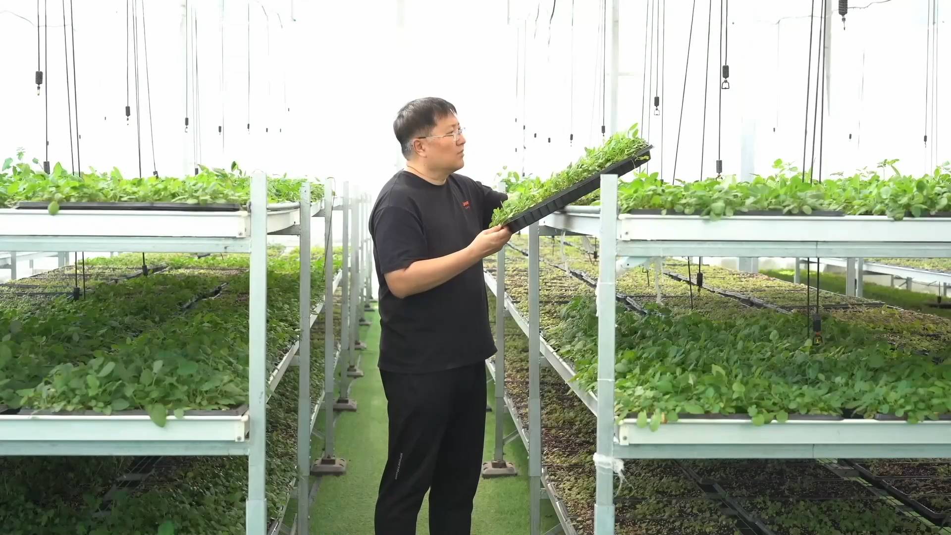 新華視點｜產業紮根大地 科技賦能民生