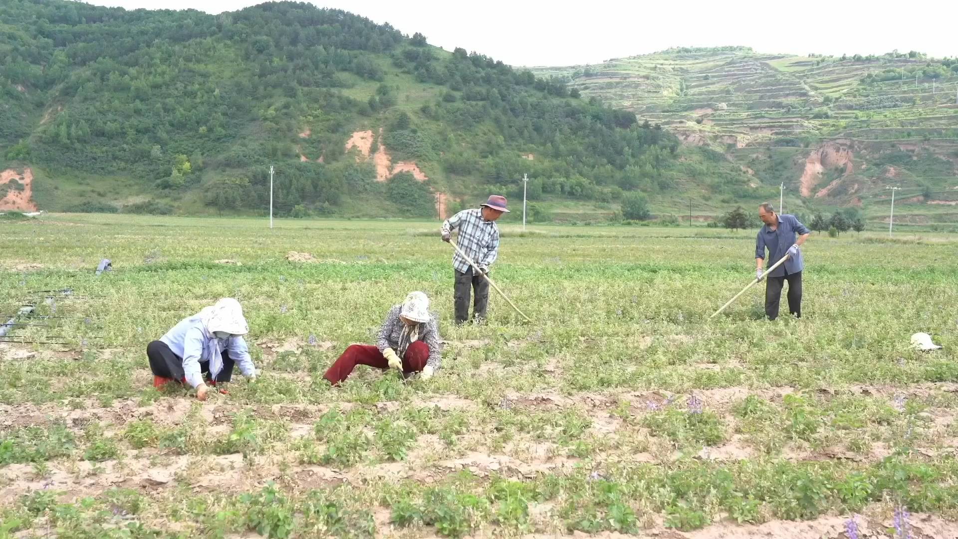 新華視點｜產業紮根大地 科技賦能民生
