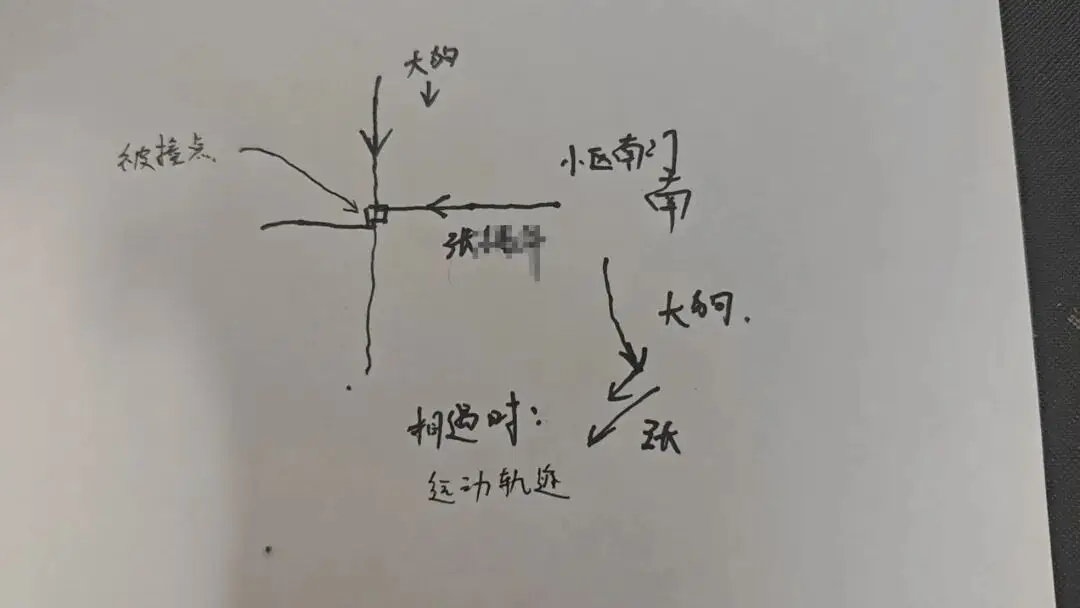 揚州一大型犬與柴犬打鬧，撲倒老人致手腕骨折，大型犬主人：正走法律程式，不會拒賠