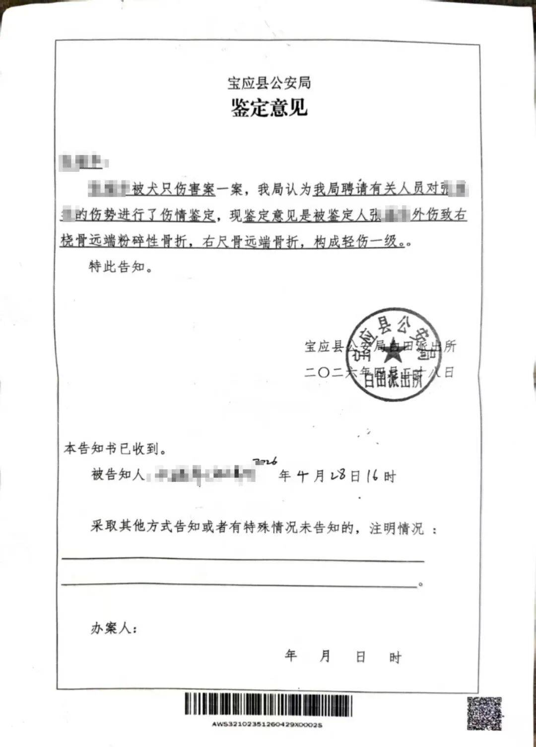 揚州一大型犬與柴犬打鬧，撲倒老人致手腕骨折，大型犬主人：正走法律程式，不會拒賠