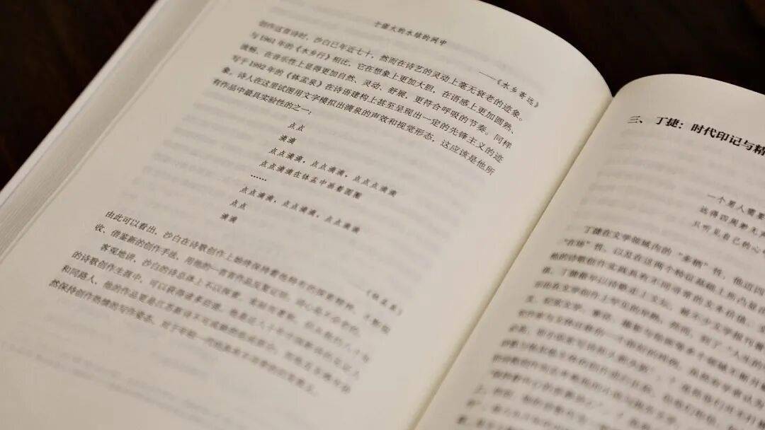 讀懂江蘇詩歌，《江蘇當代詩歌論綱》這一本就夠了