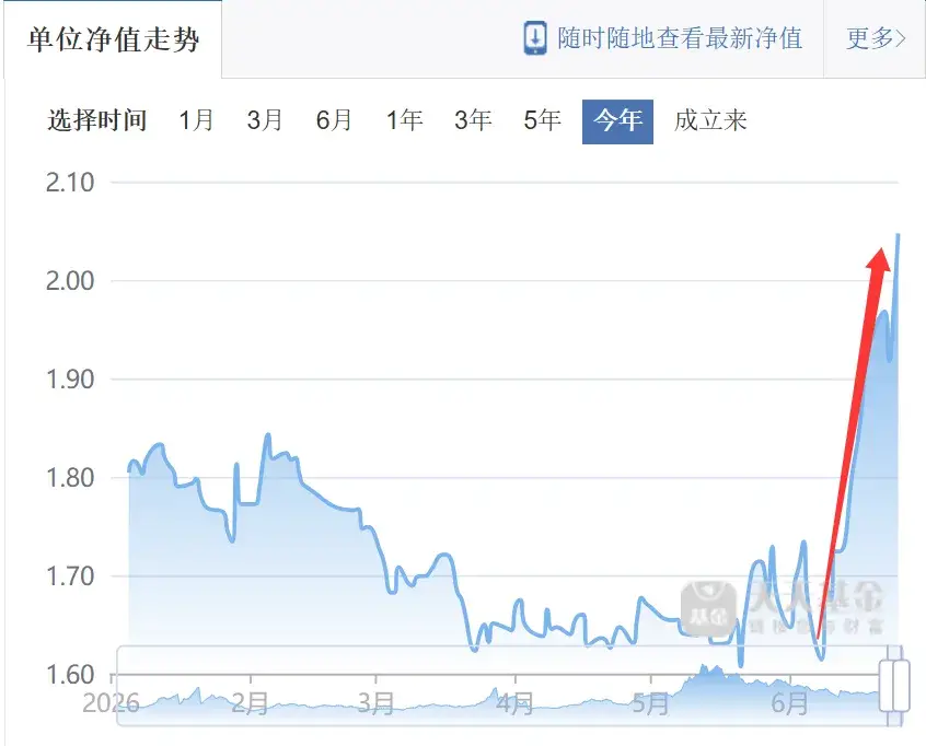 淨值暴漲！又一“老登基金”，“投降”科技了