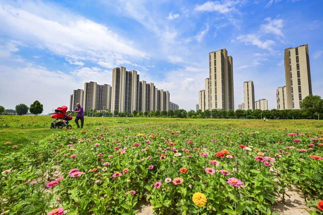 夏花盛放！通州這裡將辦花海市集、美食節~