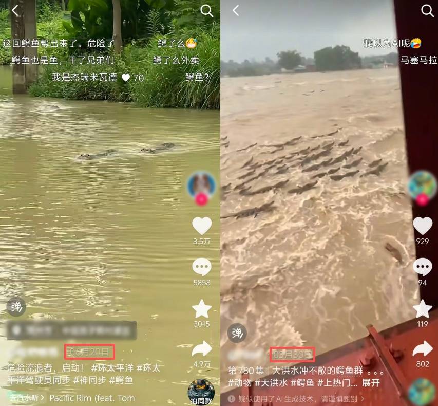 闢謠：“廣西洪澇有鱷魚逃出” 系異地舊素材嫁接，與廣西實際汛情無關